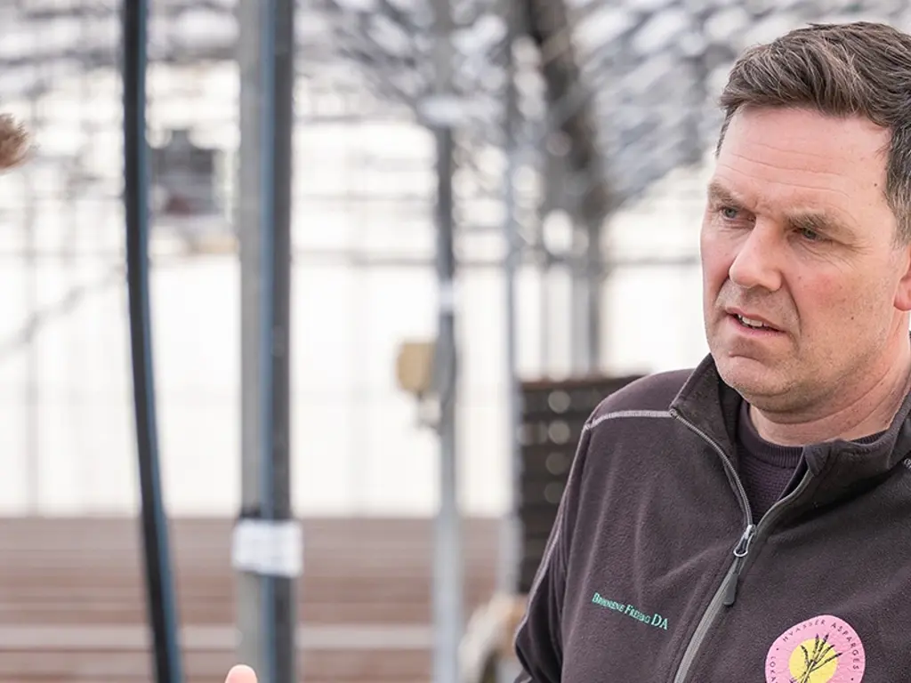 Bernt Freberg.webp (1)