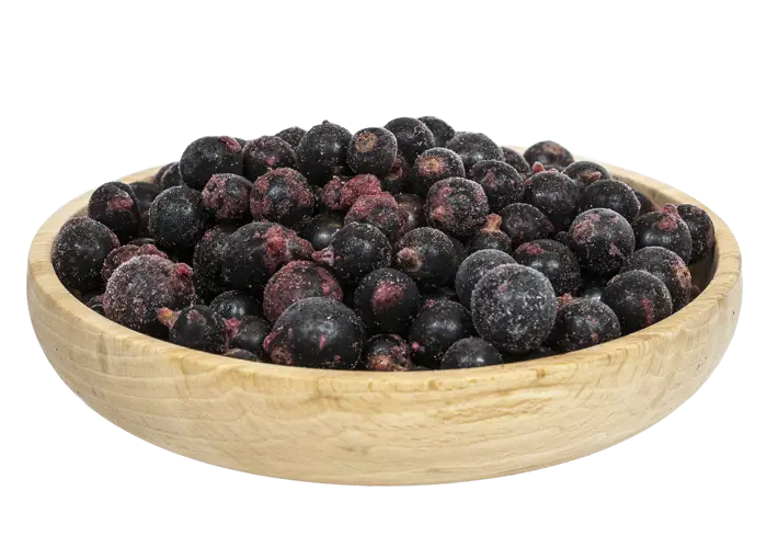 Aronia fra Norrek