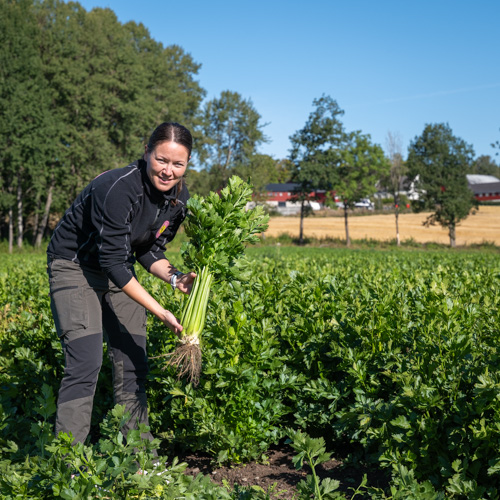 Ane Hjetland Holt hos Frebergs