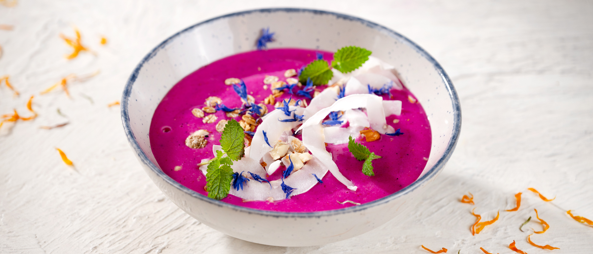 20251209 Norrek26333.jpg